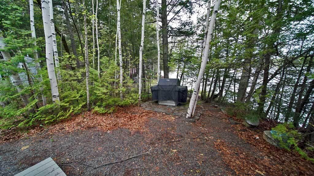 101 South South Shore Road Houlton, ME 04730 - Photo 87 of 95 gas-grill-south-shore-drews