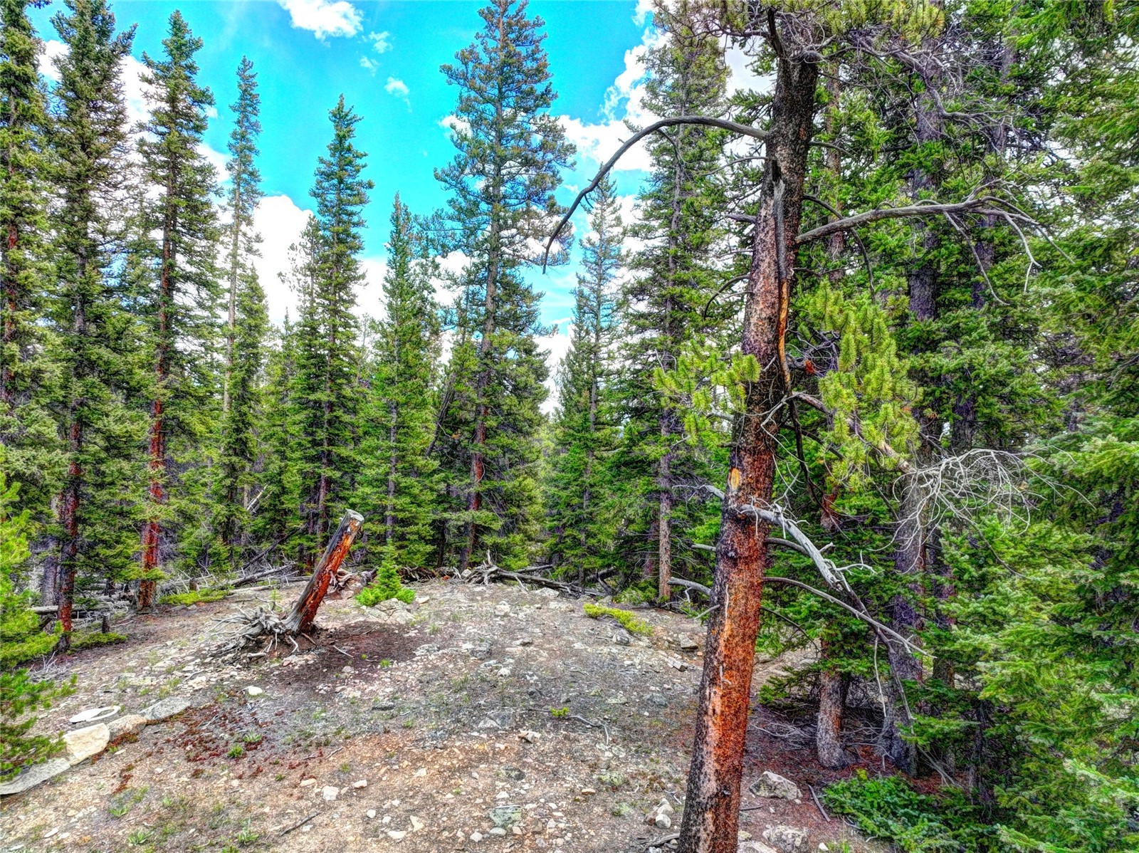 0 Dry Gulch Road Fairplay, CO 80440 - Photo 10 of 28 Gallery Image 10