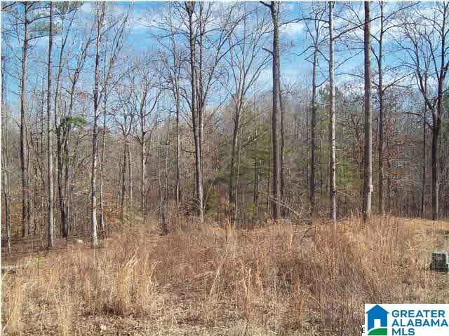151 Highland Ridge Drive, Unit LOT 29 Chelsea, AL 35043 - Photo 3 of 4