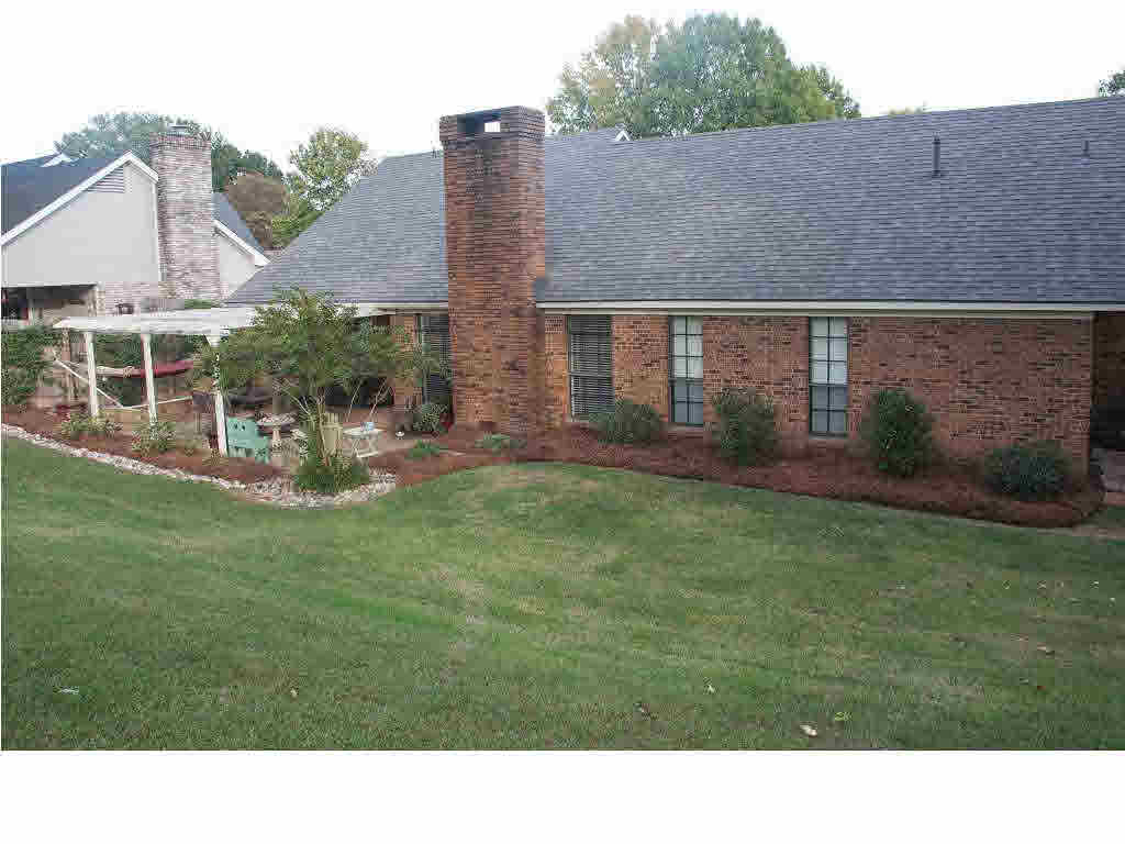 65 Springview Drive Brandon, MS 39042 - Photo 13 of 14 back yard