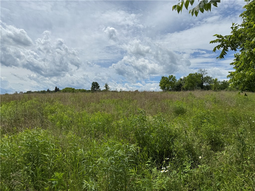 Tucker Road Ithaca, NY 14850 - Photo 12 of 35