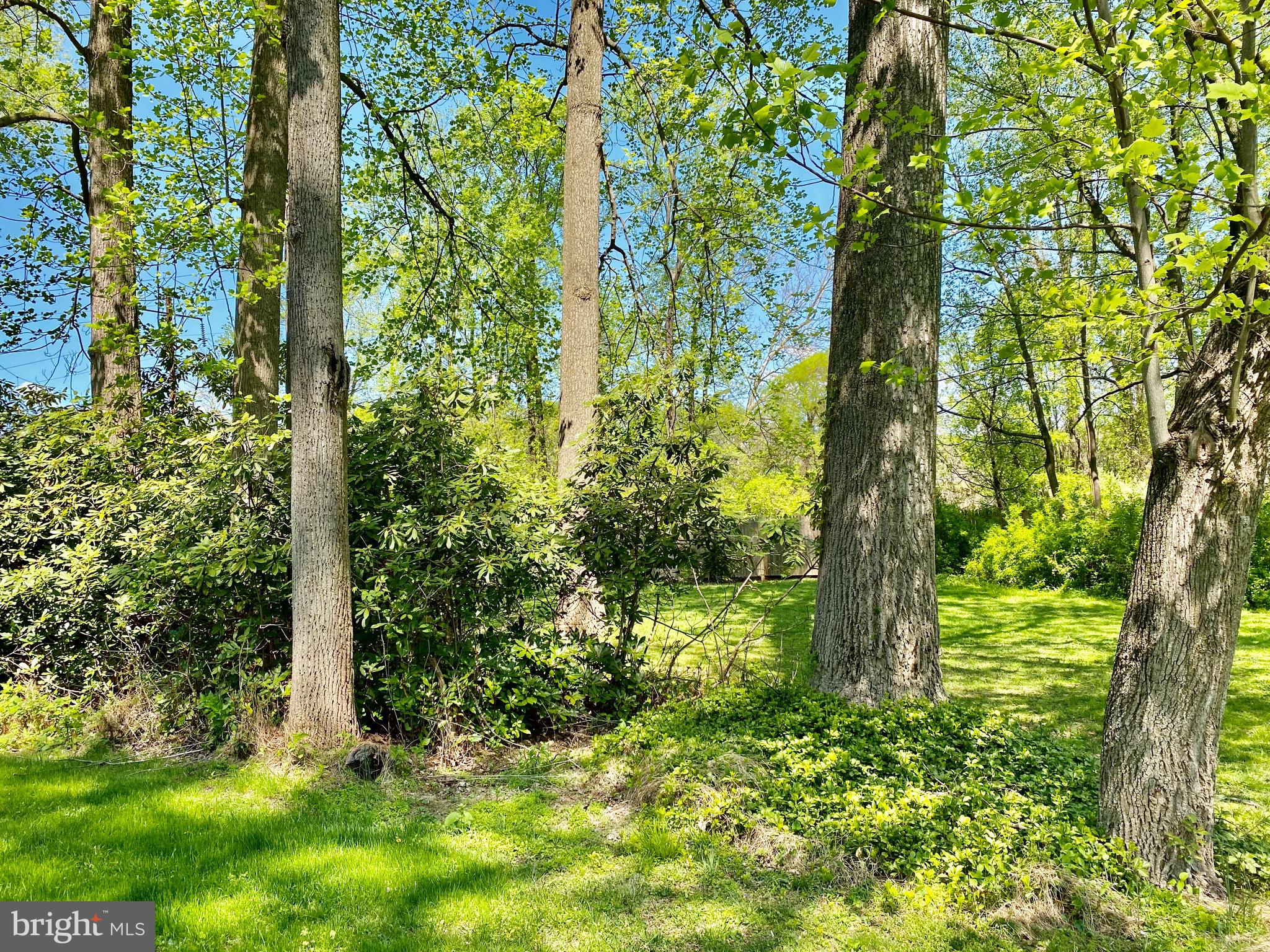 899 Cloverly Road Berwyn, PA 19312 - Photo 32 of 34 How about a hammock?