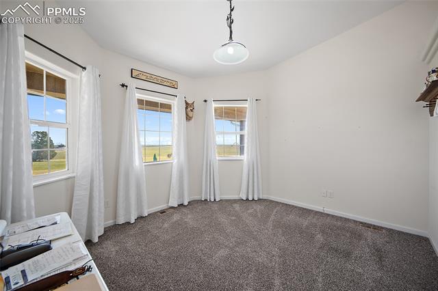 8484 Berridge Road Calhan, CO 80808 - Photo 26 of 50
