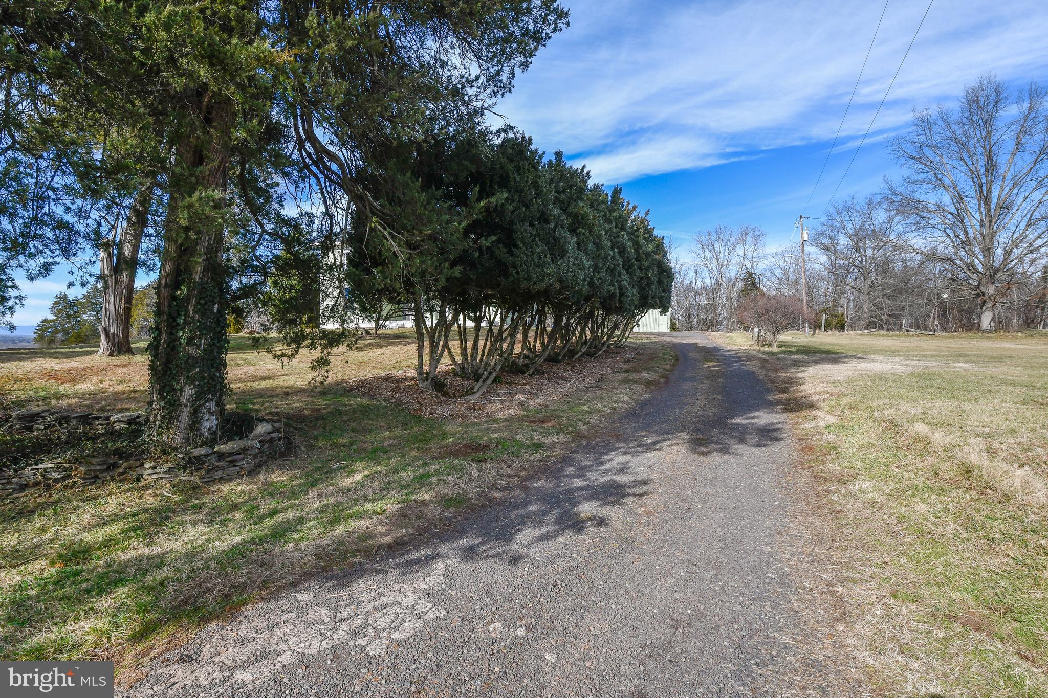 19357 York Road Stevensburg, VA 22741 - Photo 9 of 69