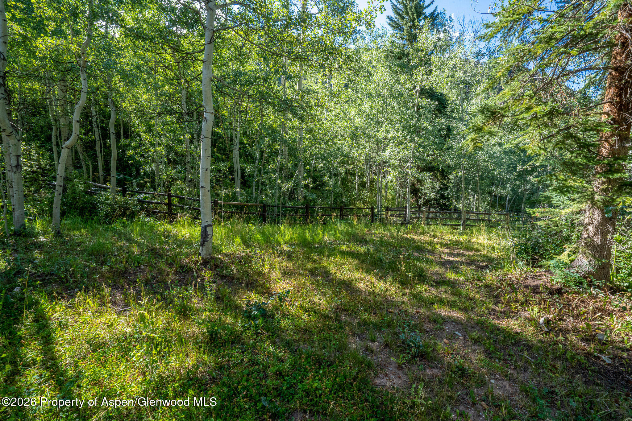 285 Conundrum Creek Road Aspen, CO 81611 - Photo 32 of 35 a backyard of a house with lots of green space