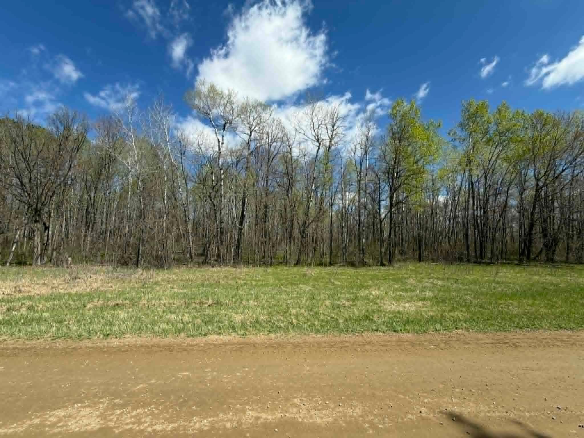 Tbd Lamon Road Northeast Bemidji, MN 56601 - Photo 3 of 8