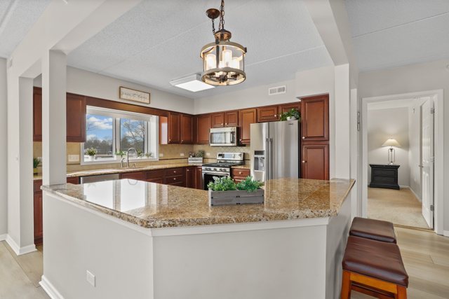 225 Main Street, Unit 214 Roselle, IL 60172 - Photo 10 of 27 a kitchen with stainless steel appliances granite countertop a sink refrigerator and cabinets
