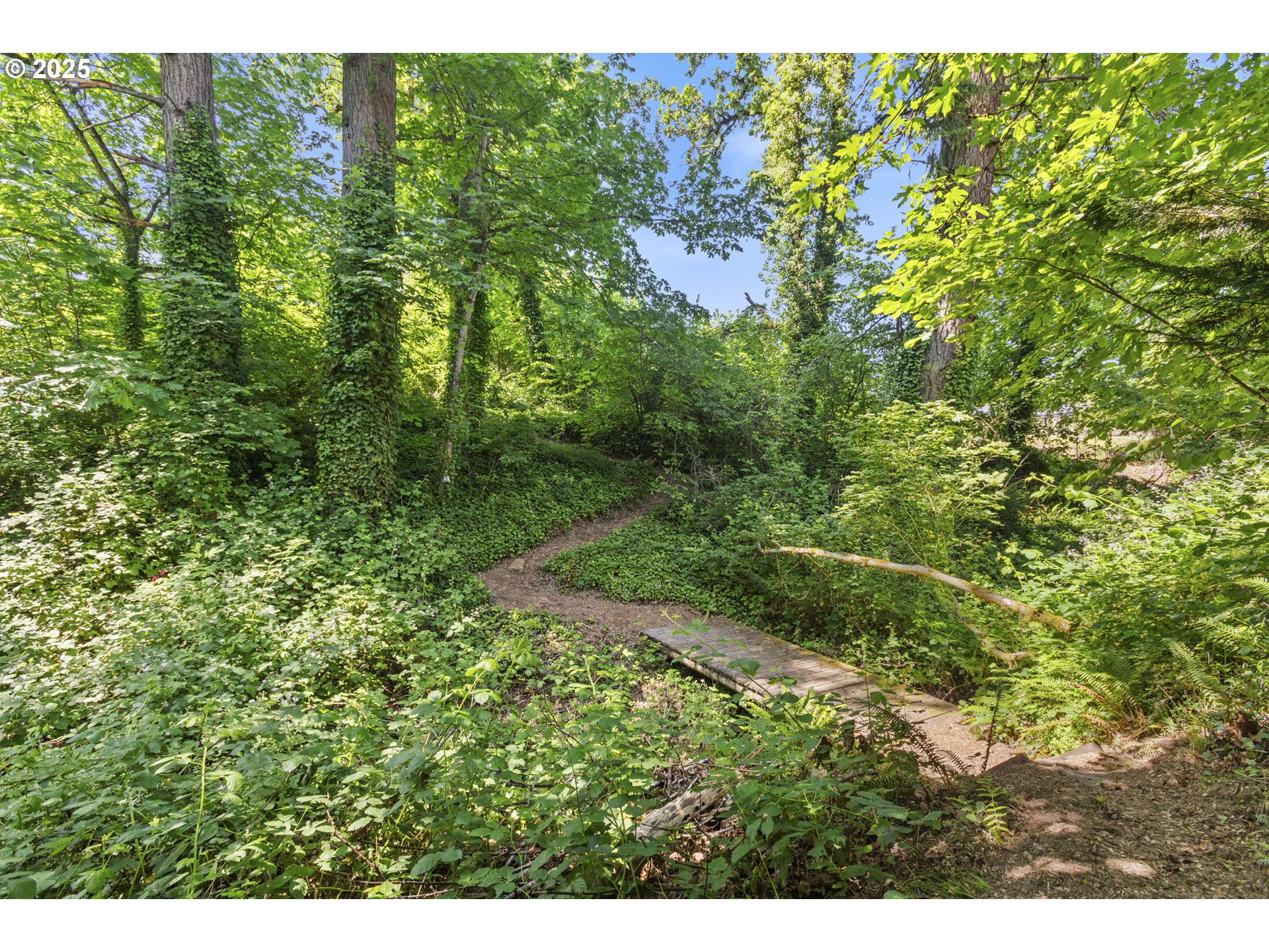 28825 Southwest Grahams Ferry Road Wilsonville, OR 97070 - Photo 27 of 36 a view of a forest with a tree