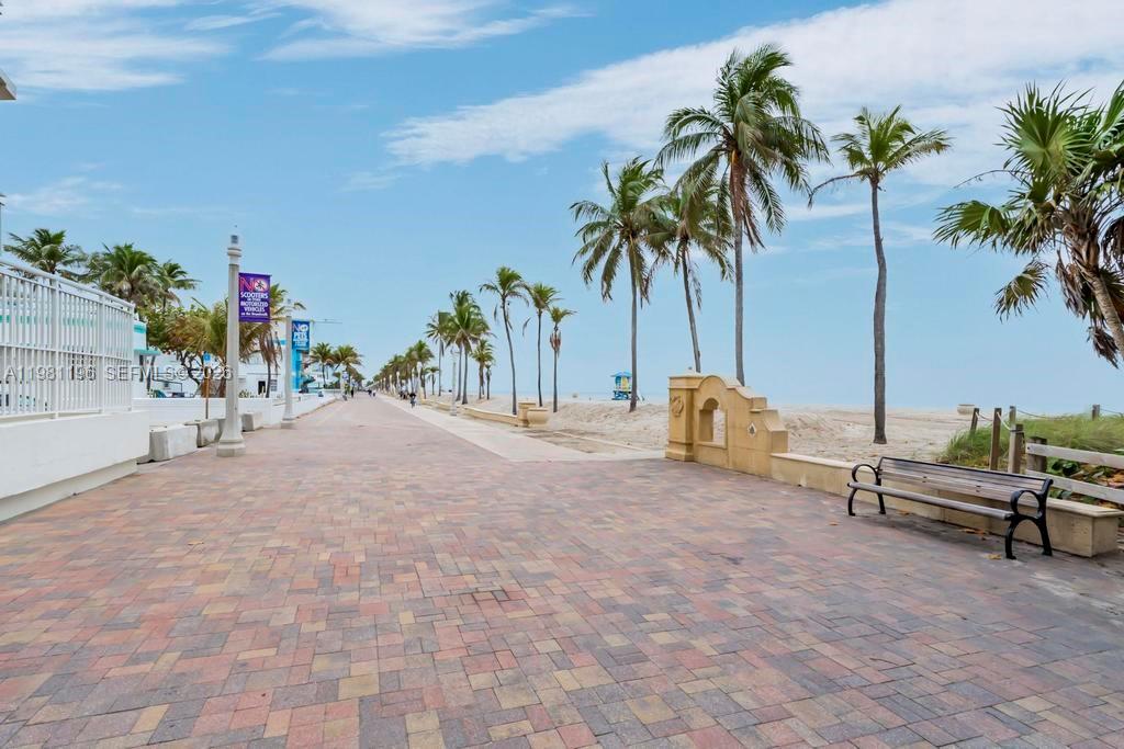 901 South Surf Road, Unit 408 Hollywood, FL 33019 - Photo 39 of 52 a row of palm trees sitting in a backyard of a house
