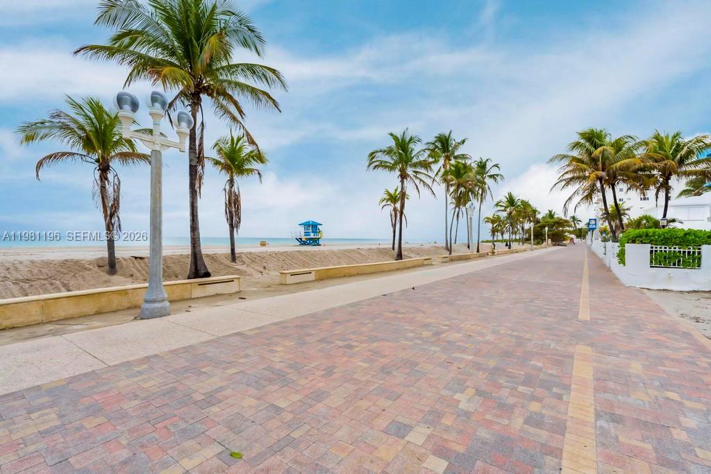 901 South Surf Road, Unit 408 Hollywood, FL 33019 - Photo 51 of 52 a view of a palm tree with palm trees
