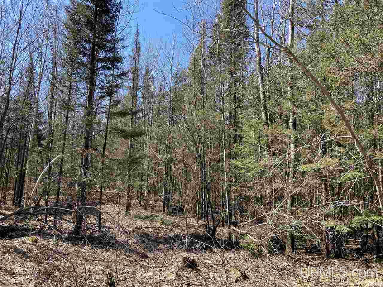 Tbd Tbd Off Powerline Gwinn, MI 49841 - Photo 21 of 28