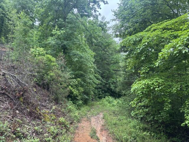 80 Hell Hole Road Crossville, TN 38572 - Photo 2 of 2 Hell Hole 1
