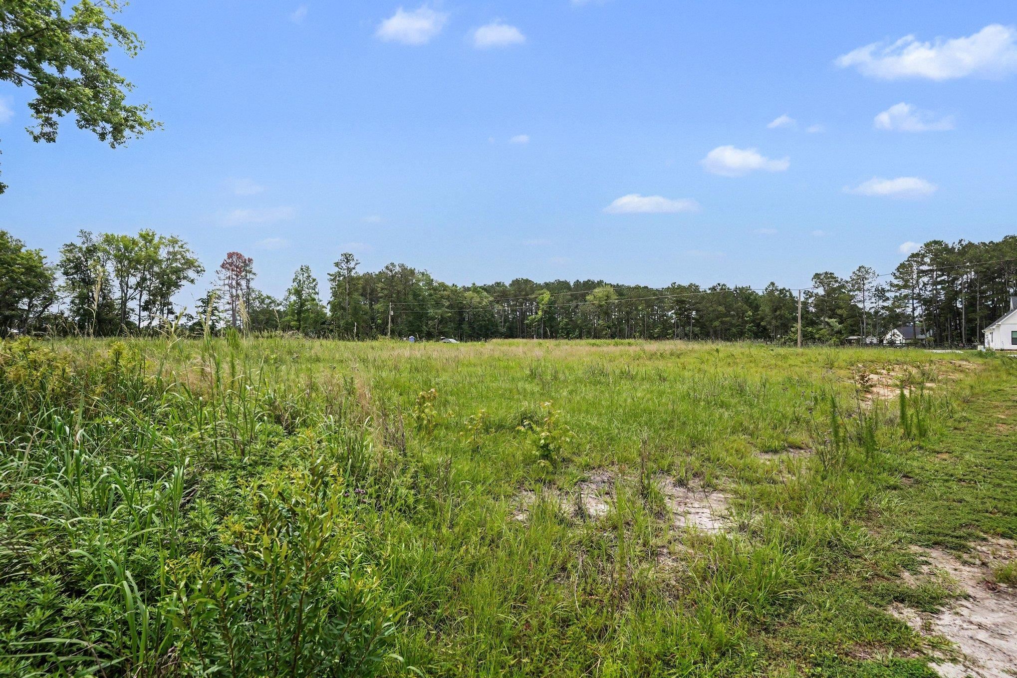 113 Rena Lane Conway, SC 29527 - Photo 5 of 21