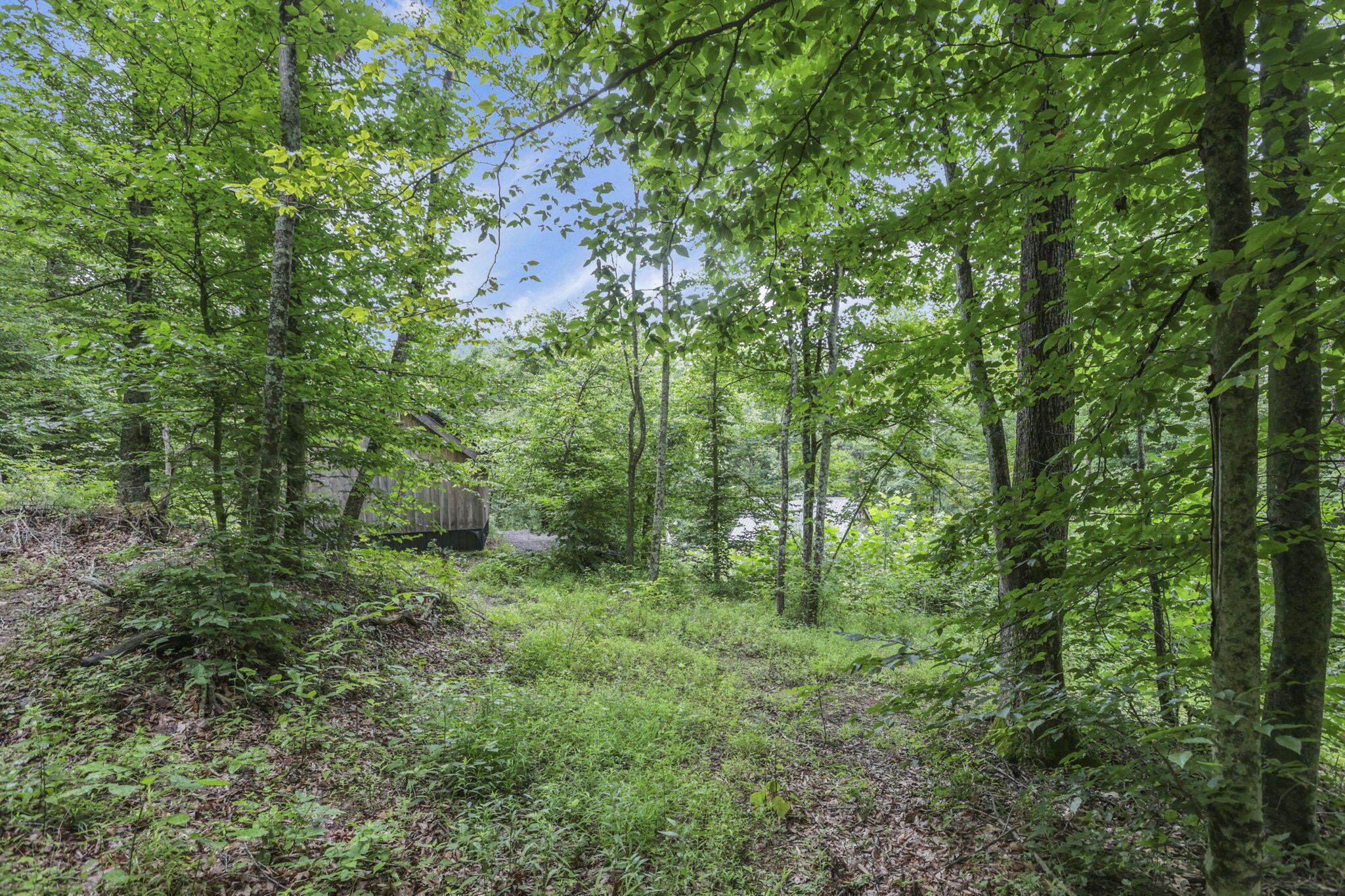 0 Greens Run Road Glouster, OH 45732 - Photo 118 of 121 118-web-or-mls-LO5A2130