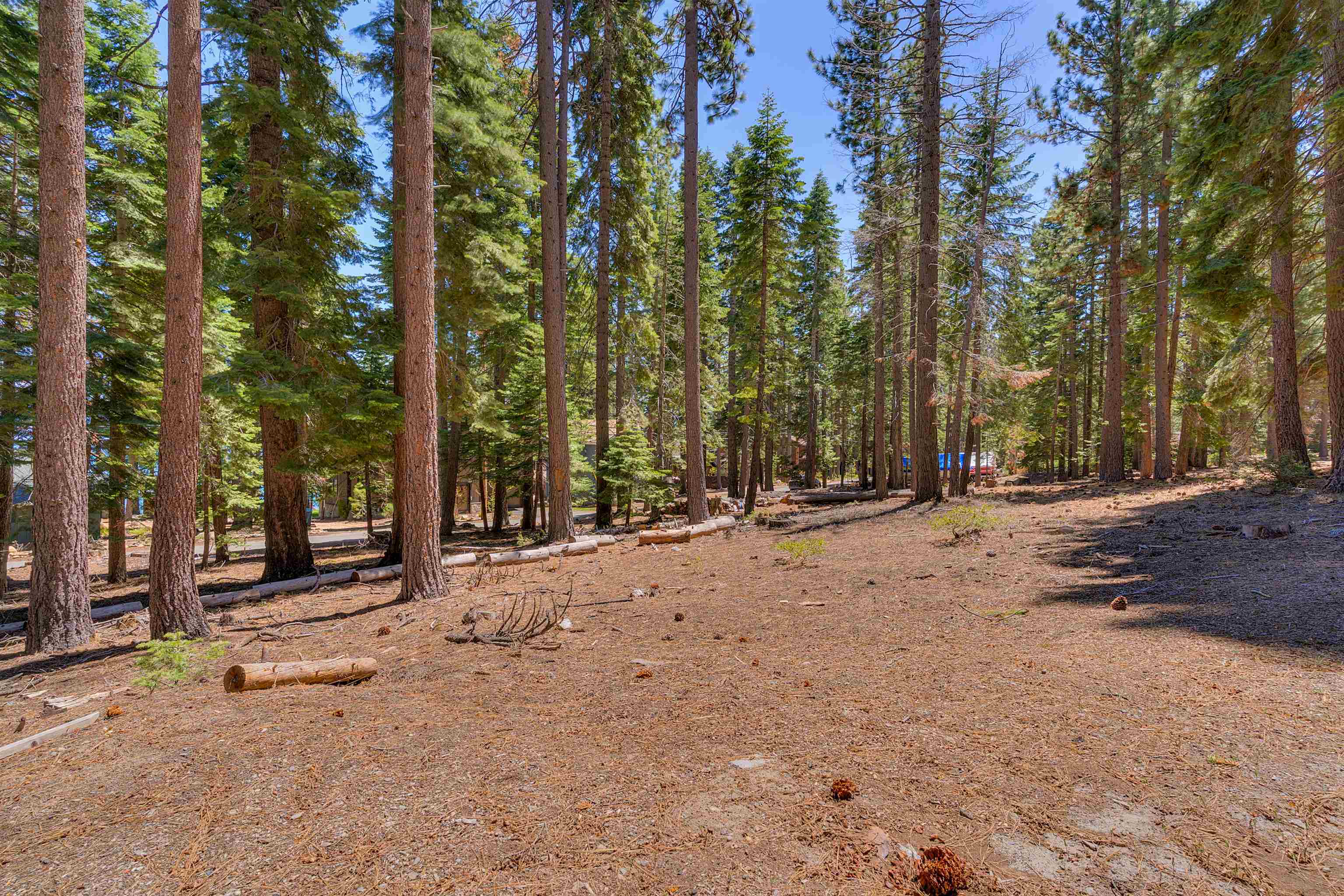 Meeks Bay Ave Lake Tahoma, CA 96142 - Photo 4 of 12 a view of a field with trees in the background