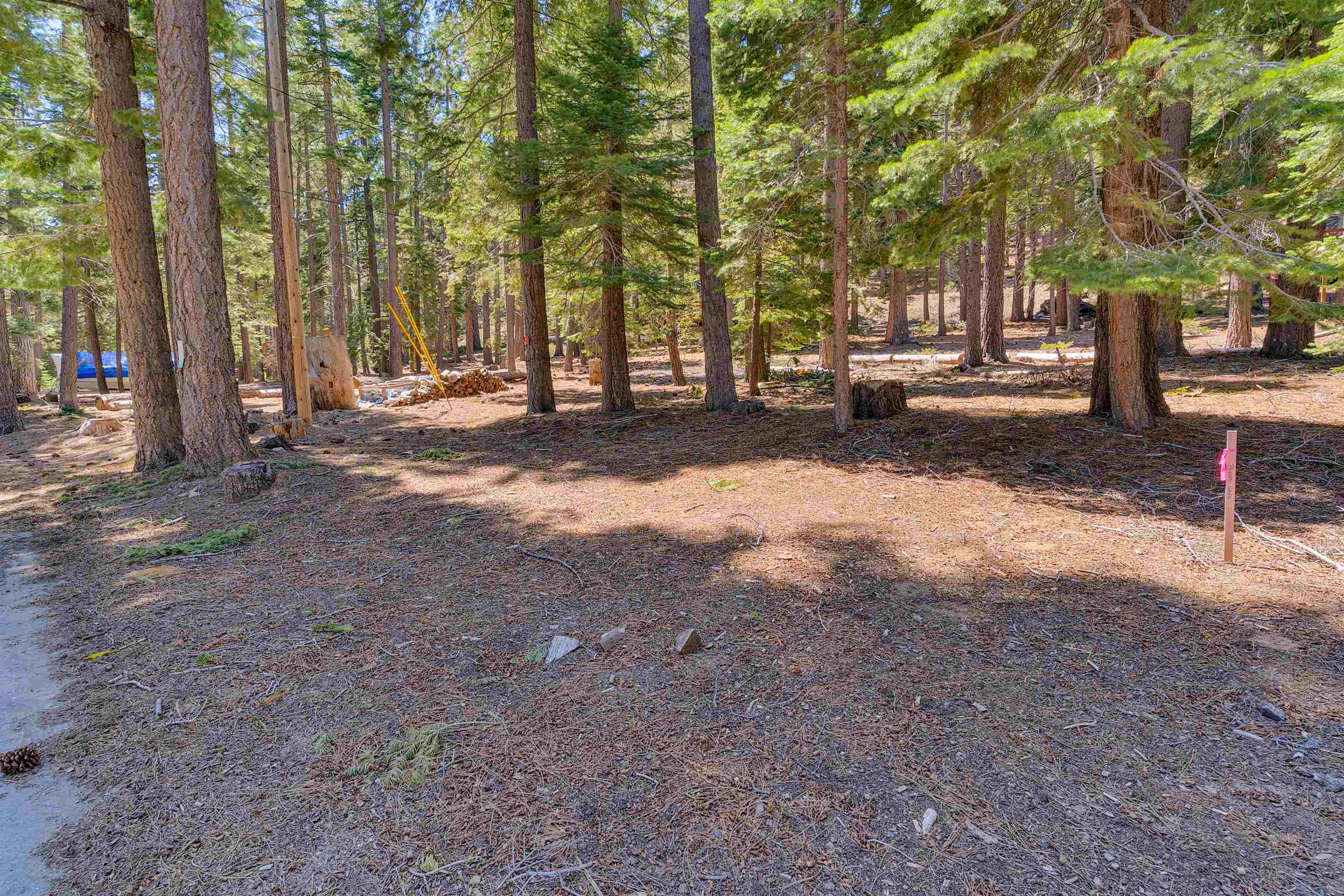 Meeks Bay Ave Lake Tahoma, CA 96142 - Photo 8 of 12 a view of road with trees