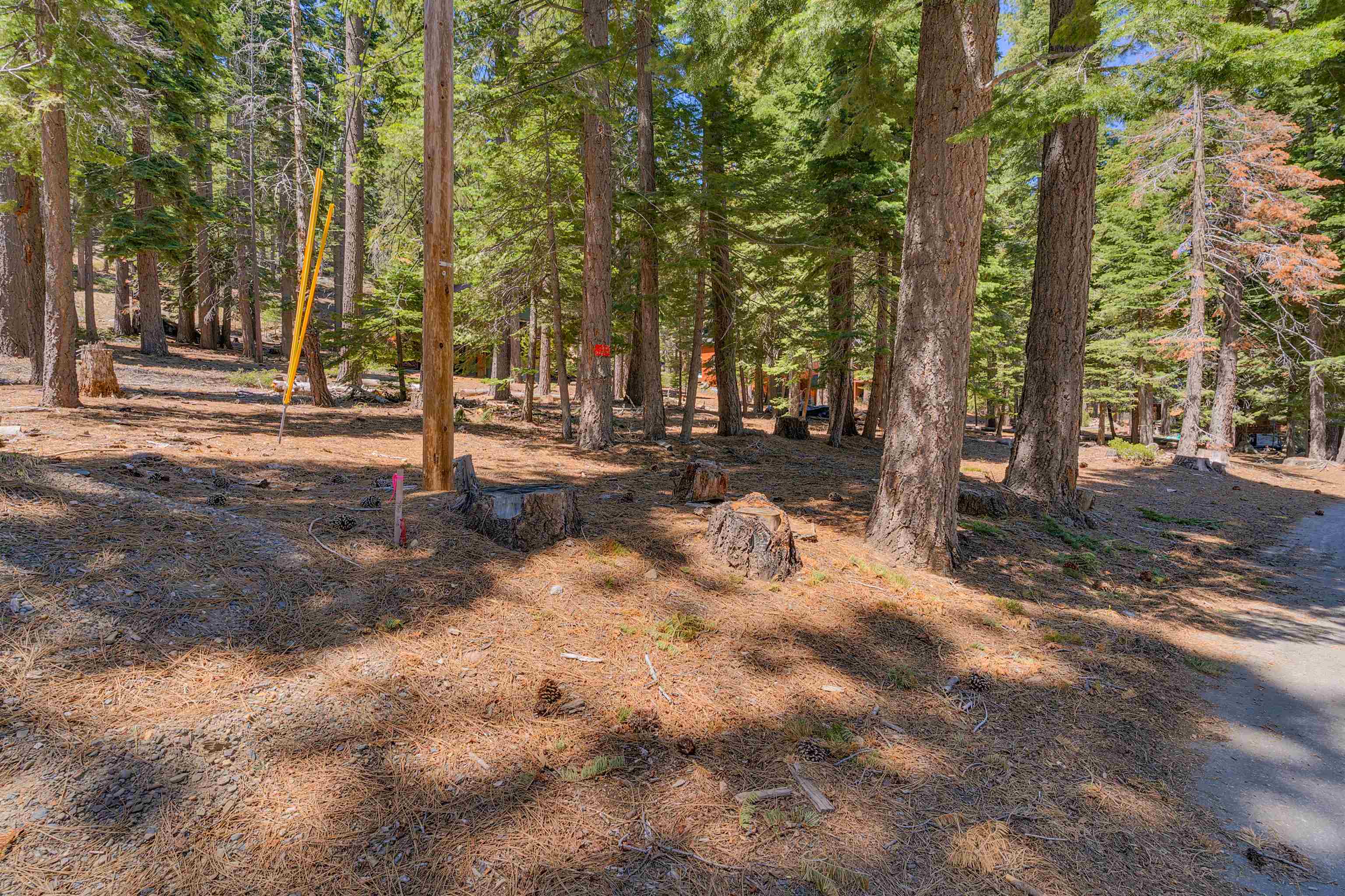 Meeks Bay Ave Lake Tahoma, CA 96142 - Photo 9 of 12 a view of a yard with a tree