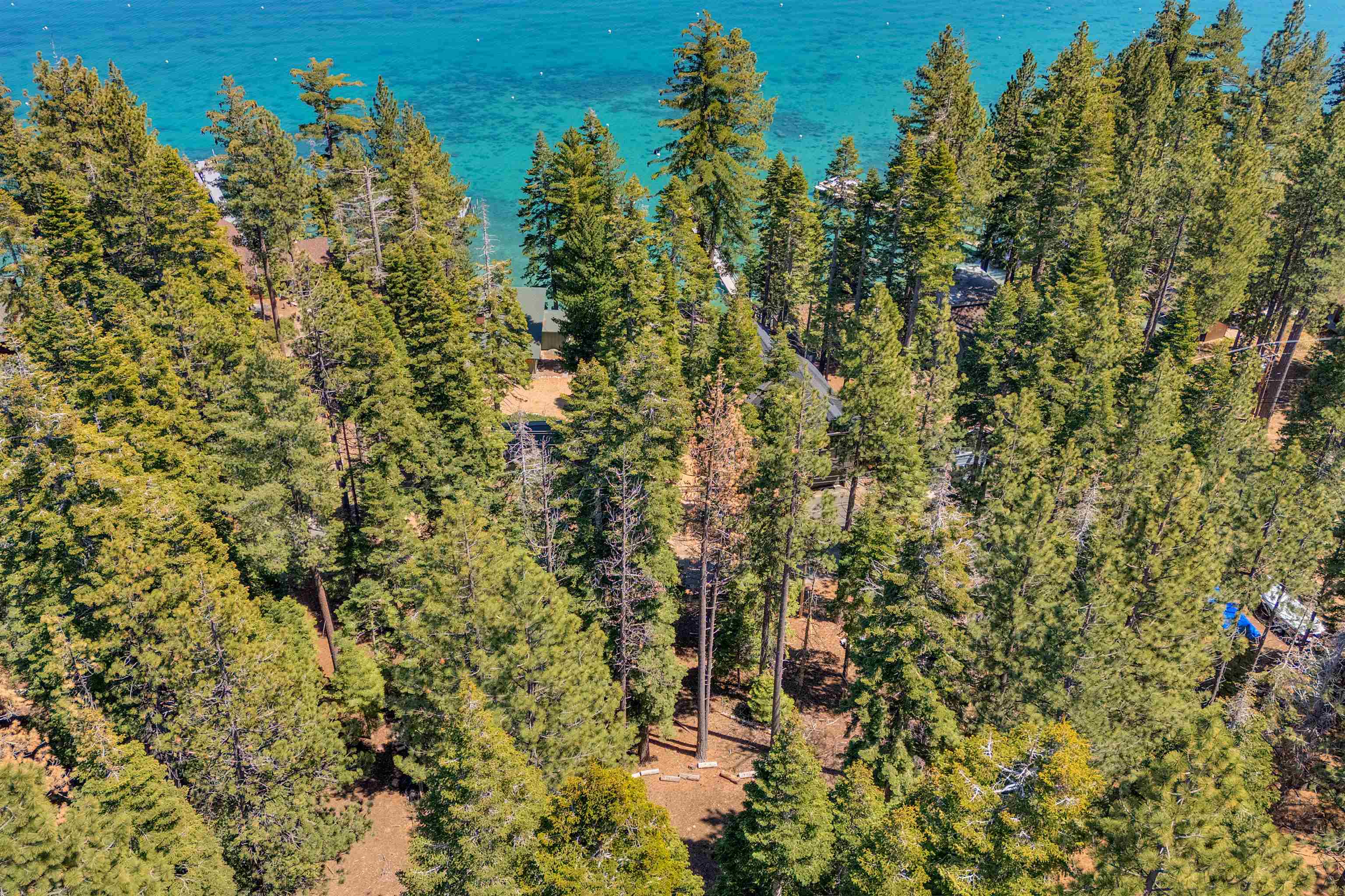 Meeks Bay Ave Lake Tahoma, CA 96142 - Photo 10 of 12 view of a city with lots of bushes