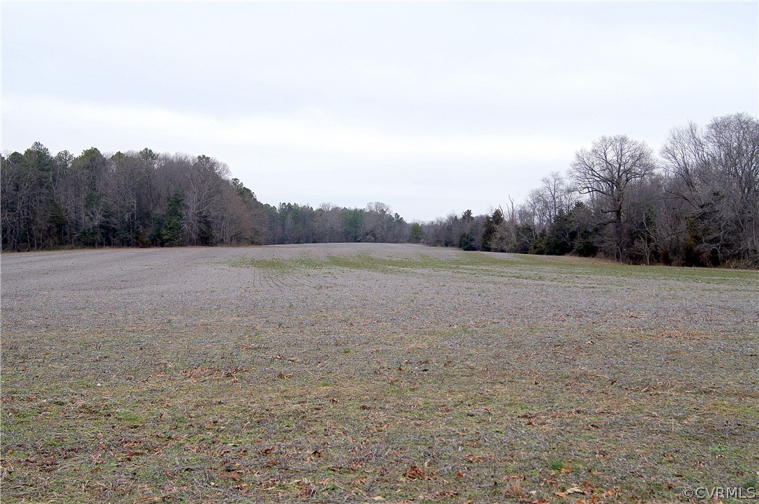13280 Tower Road Doswell, VA 23047 - Photo 1 of 11 Gallery Image 1