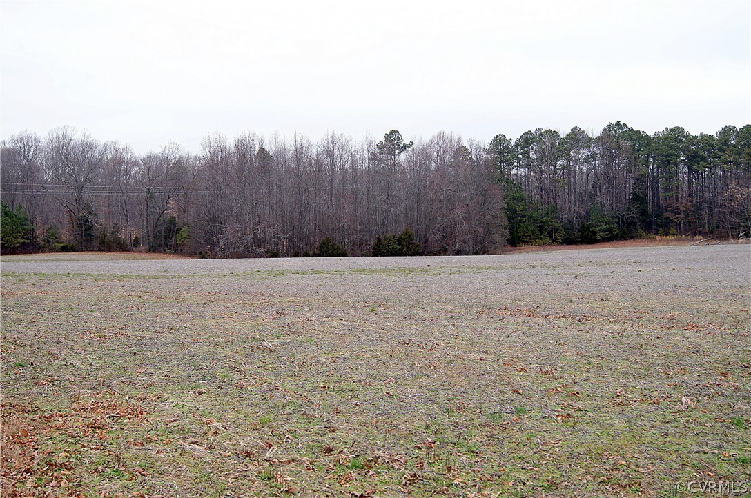 13280 Tower Road Doswell, VA 23047 - Photo 2 of 11 Gallery Image 2
