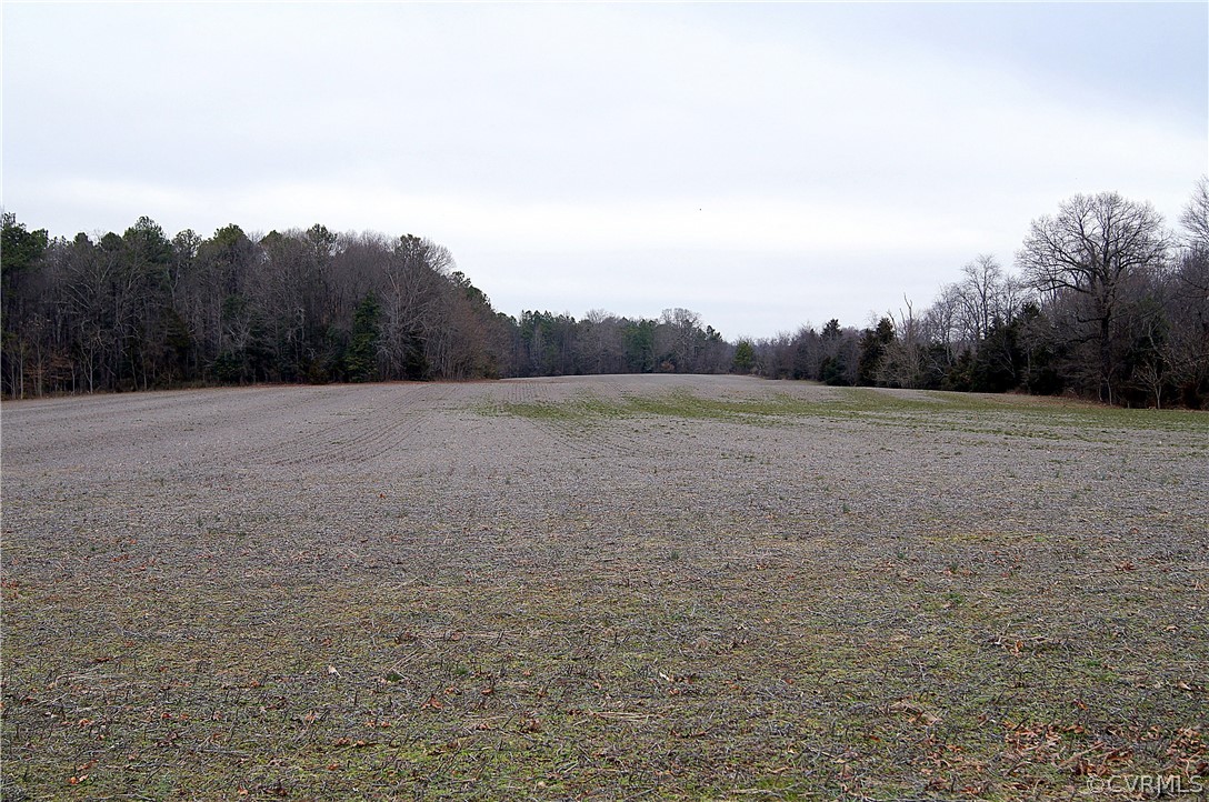 13280 Tower Road Doswell, VA 23047 - Photo 3 of 11 Gallery Image 3
