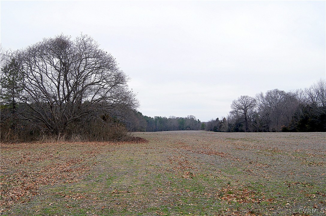 13280 Tower Road Doswell, VA 23047 - Photo 4 of 11 Gallery Image 4