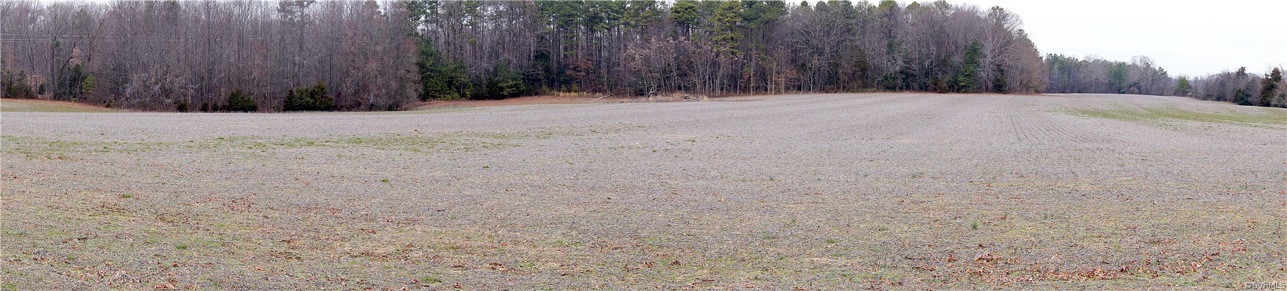 13280 Tower Road Doswell, VA 23047 - Photo 5 of 11 Gallery Image 5