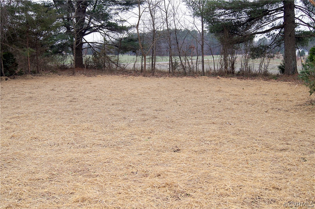 13280 Tower Road Doswell, VA 23047 - Photo 7 of 11 Gallery Image 7