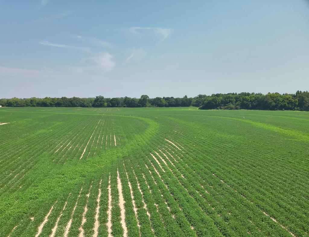 18.33-acres Burdeshaw Road Headland, AL 36345 - Photo 1 of 12