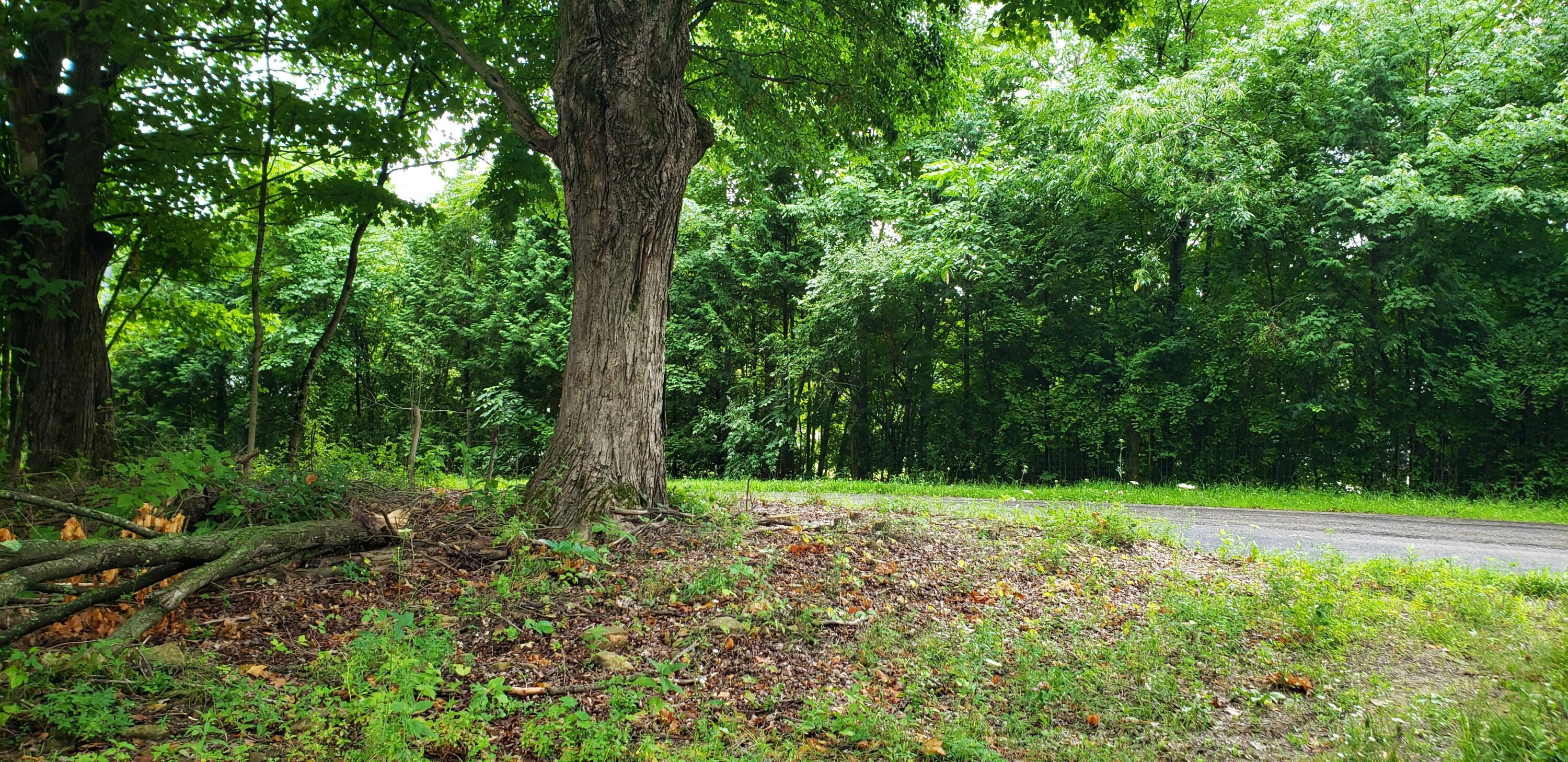 0 Love Road Fredericktown, OH 43019 - Photo 5 of 7 Love Road