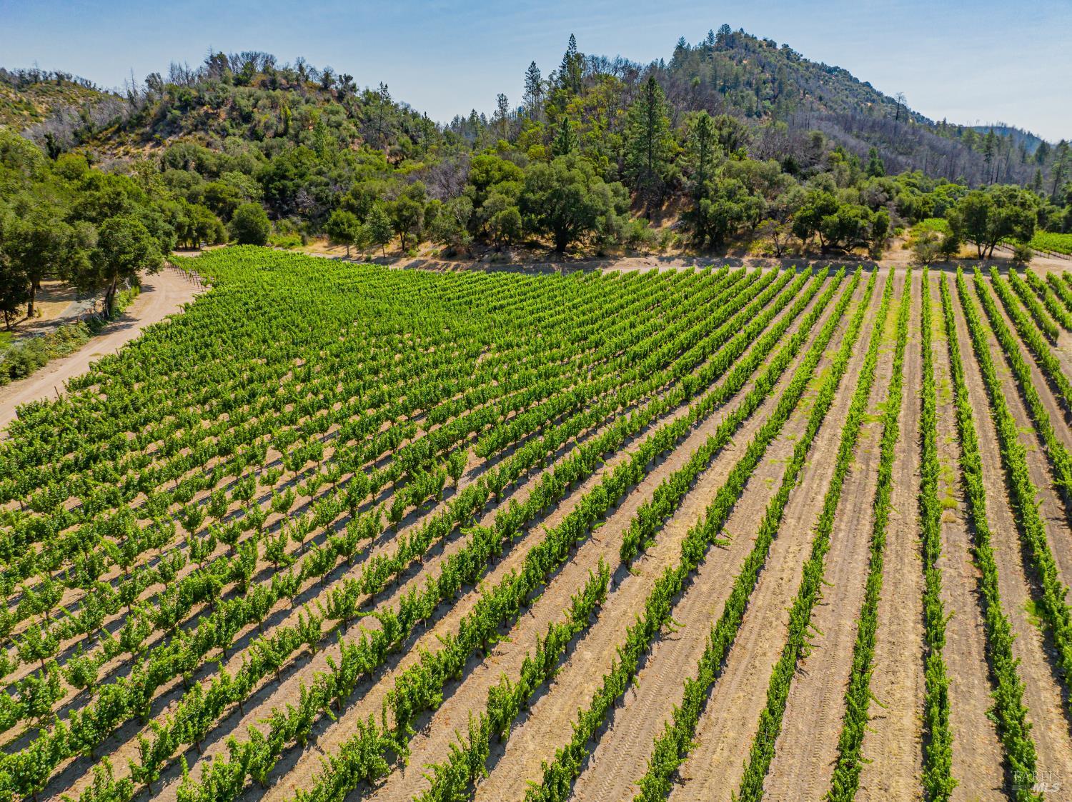 8320 Franz Valley Road Calistoga, CA 94515 - Photo 59 of 78