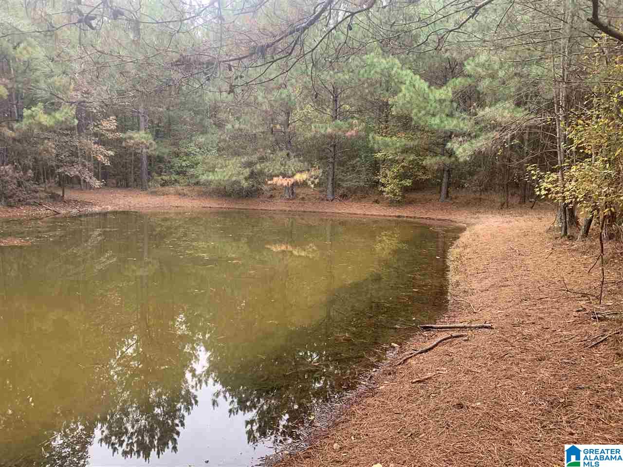 0 Homestead Drive, Unit 1 Springville, AL 35146 - Photo 10 of 32