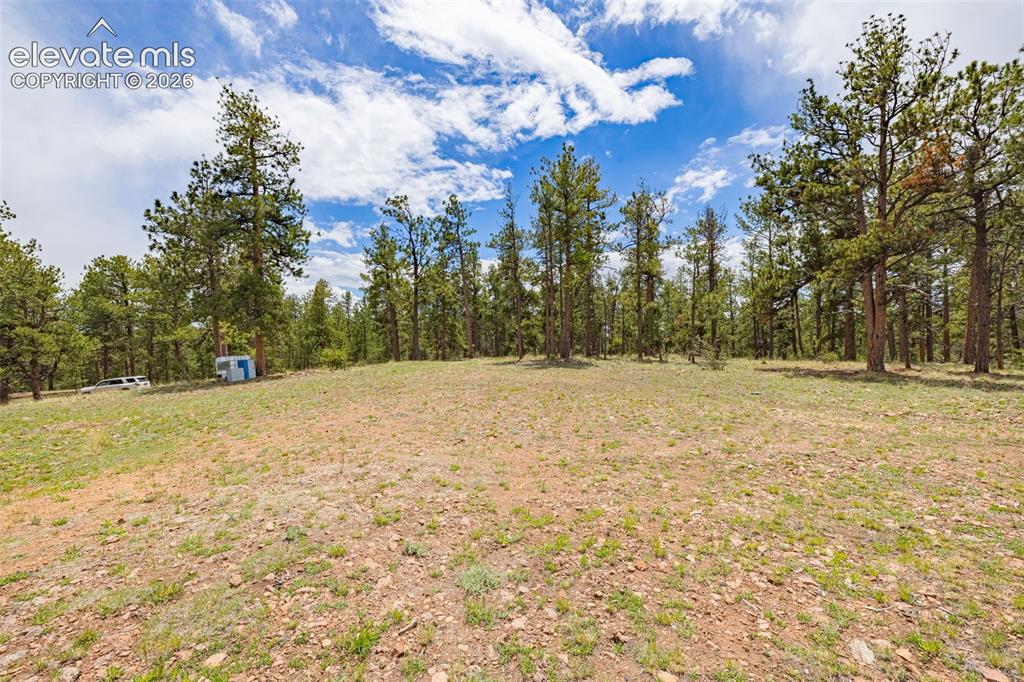 4250 Doe Valley Road Guffey, CO 80820 - Photo 19 of 35