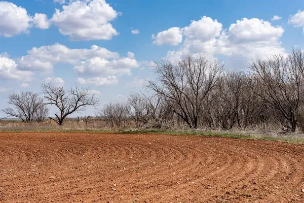 a view of road and covered with fog