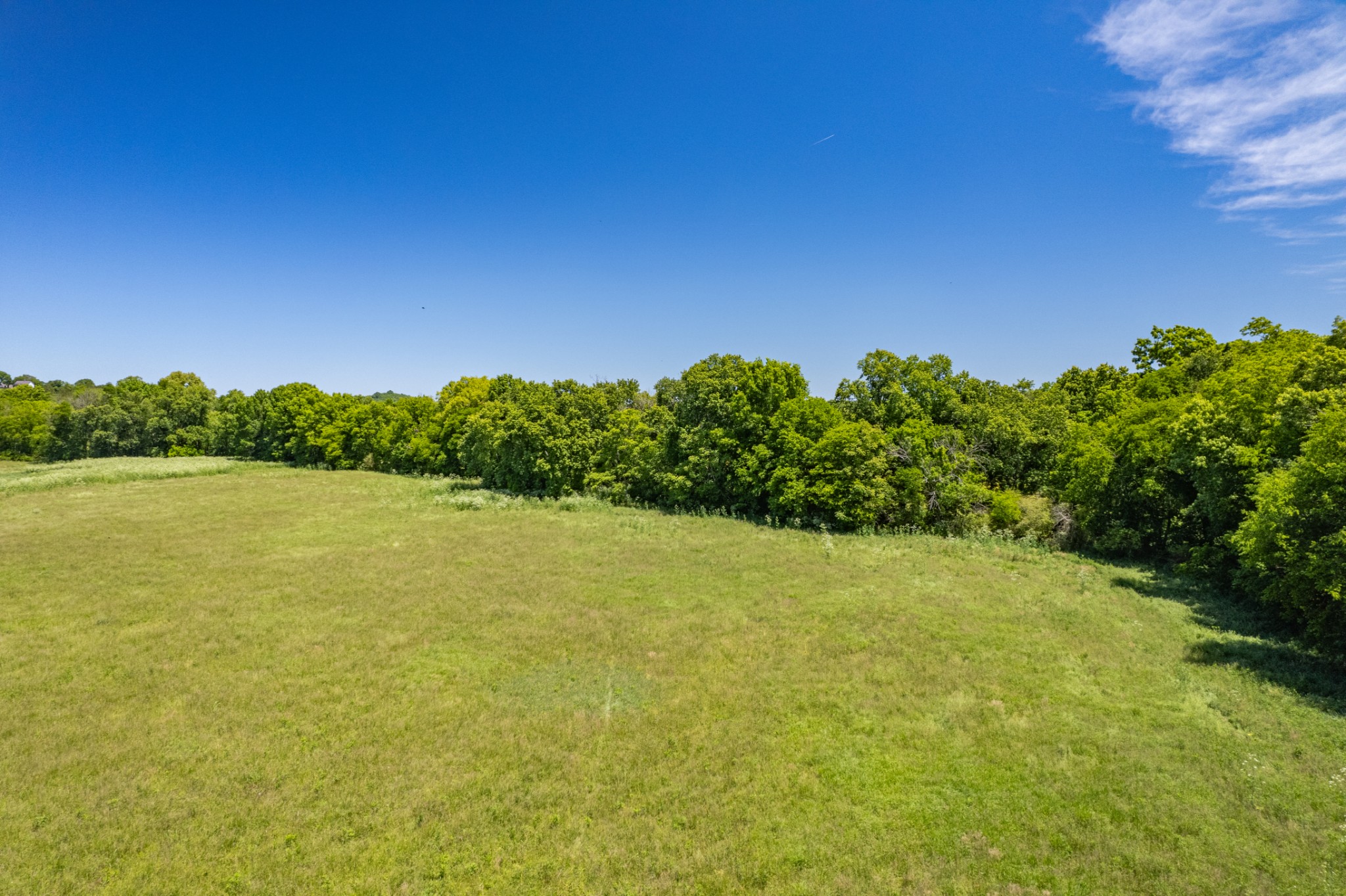 32 Hart Leonard Road Cornersville, TN 37047 - Photo 9 of 58