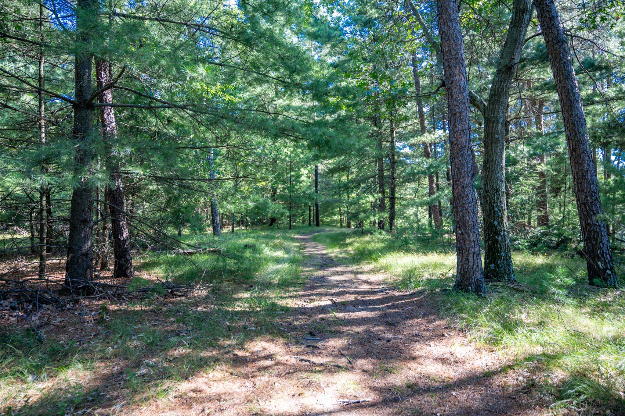 Lot 6 Cherokee New Lisbon, WI 53950 - Photo 12 of 25
