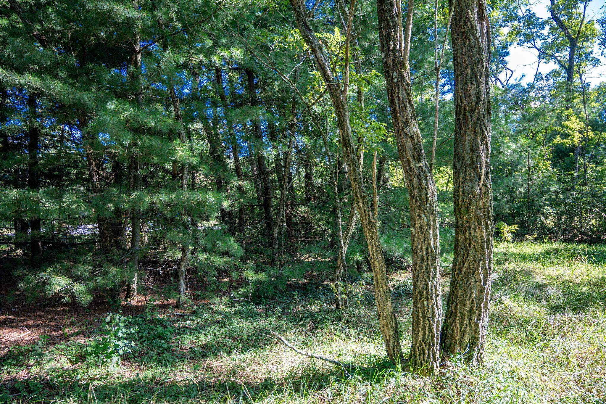 Lot 6 Cherokee New Lisbon, WI 53950 - Photo 14 of 25