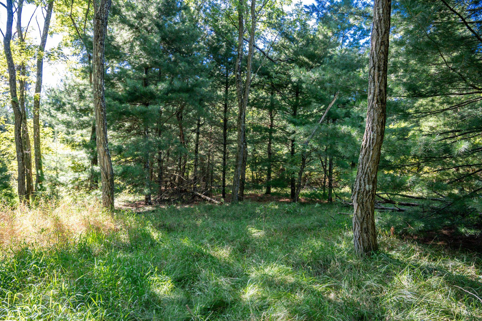 Lot 6 Cherokee New Lisbon, WI 53950 - Photo 16 of 25