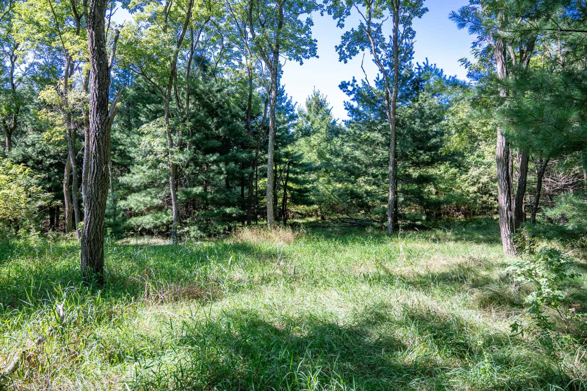 Lot 6 Cherokee New Lisbon, WI 53950 - Photo 17 of 25