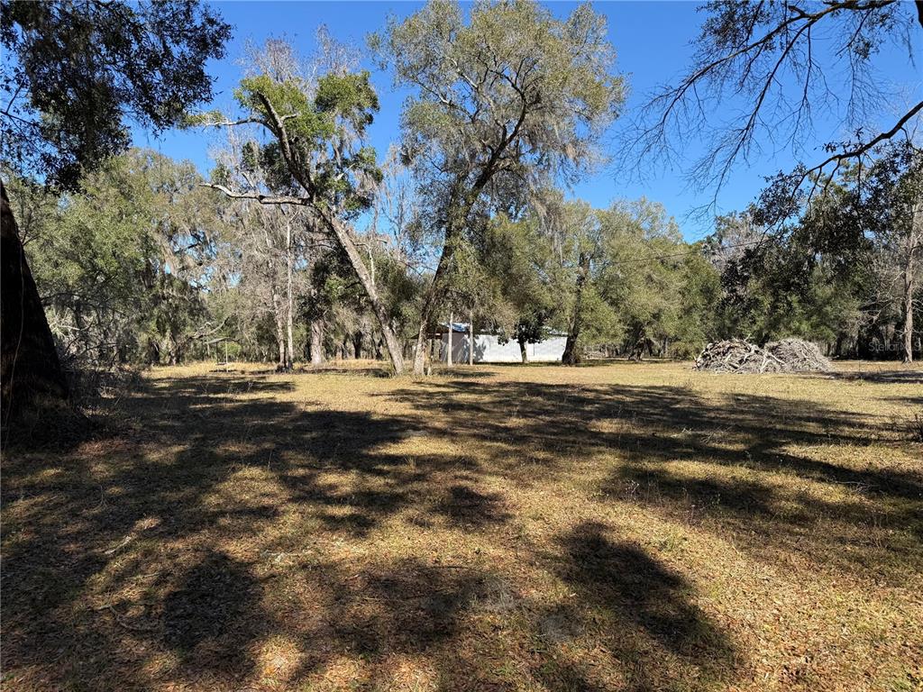 18630 Bradshaw Road Dade City, FL 33523 - Photo 14 of 43 a view of outdoor space with green space