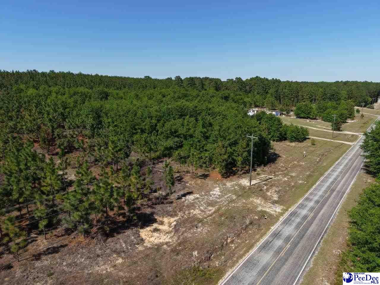 Mt Olivet Church Road Patrick, SC 29584 - Photo 25 of 45 Gallery Image 25