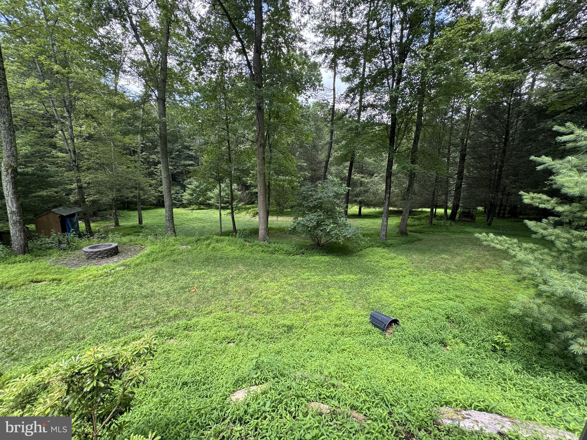 56 Ponderosa Way Milroy, PA 17063 - Photo 53 of 55 a view of park with trees