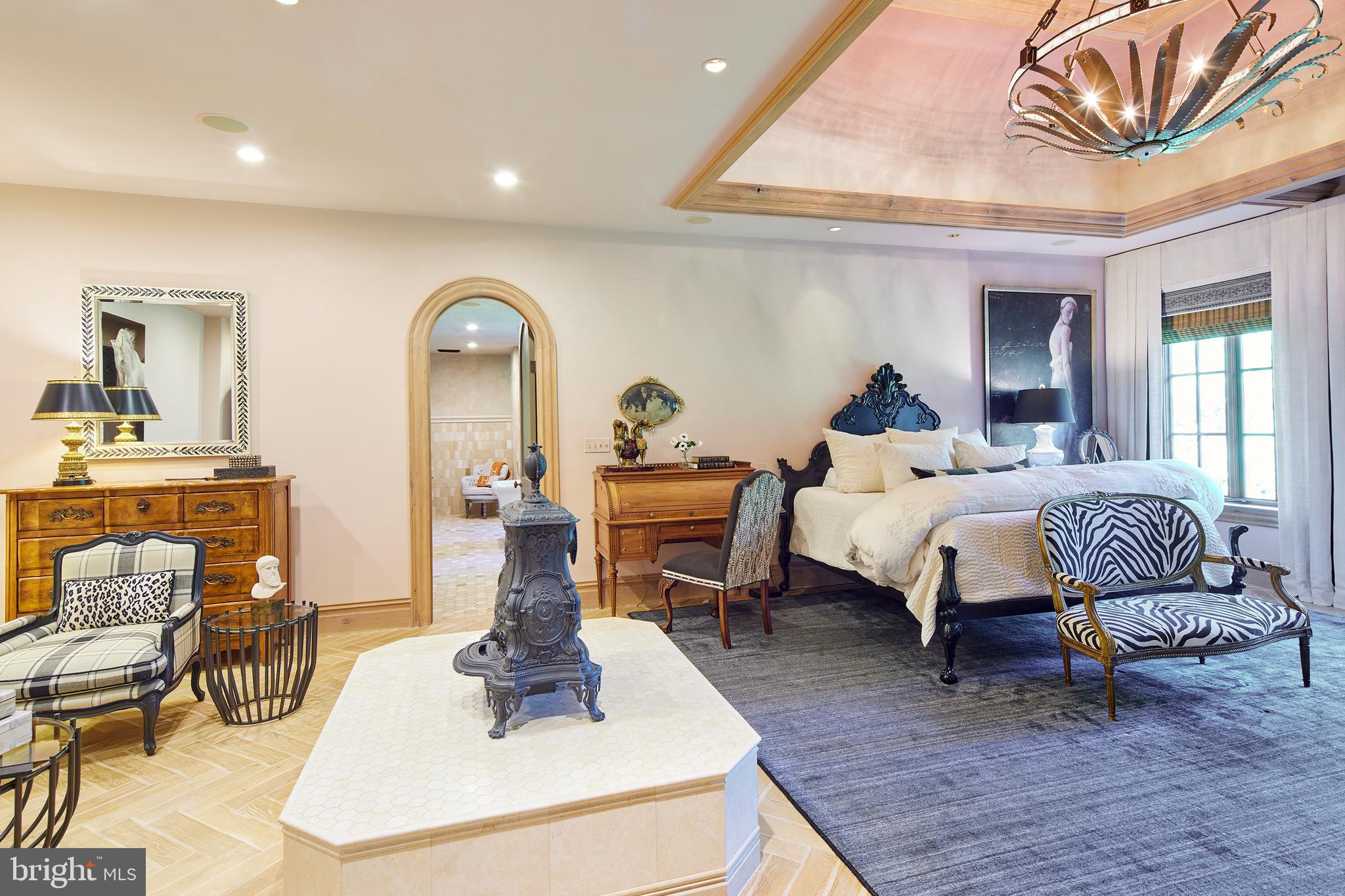 1113 Langley Lane McLean, VA 22101 - Photo 26 of 50 Antique wood-burning stove converted to electric