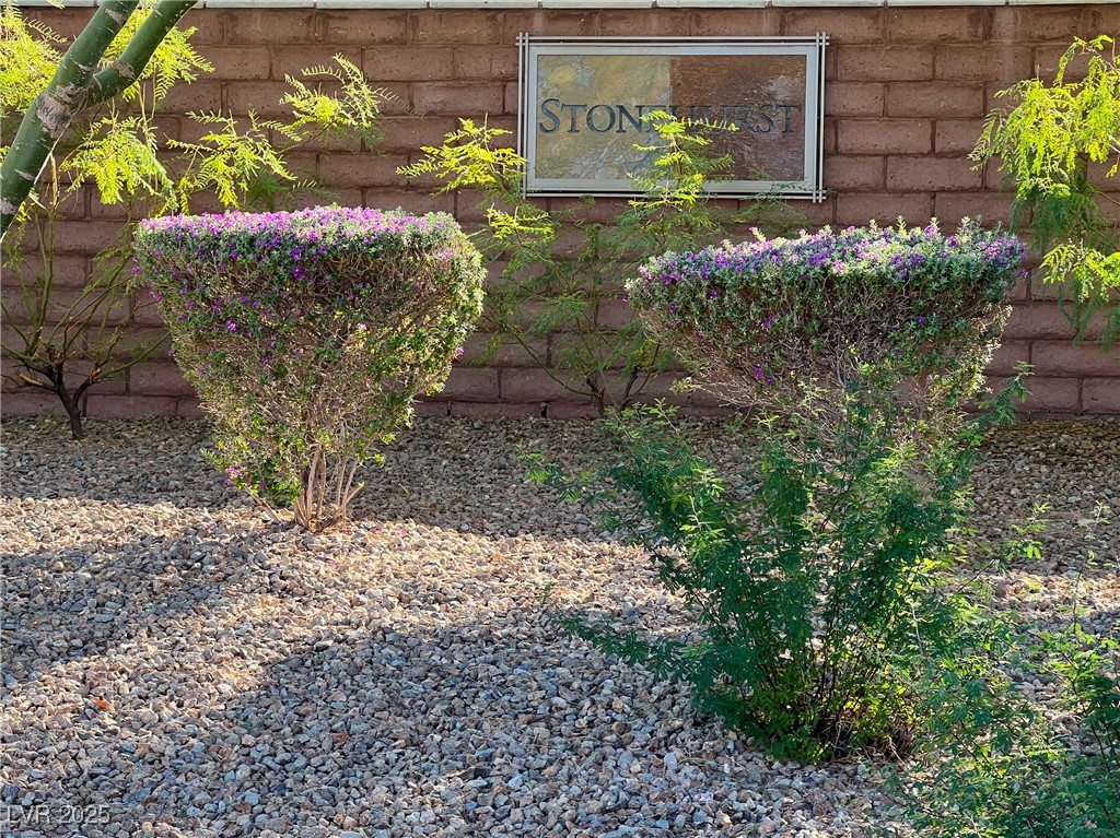 10976 Bluebell Basin Road Las Vegas, NV 89179 - Photo 38 of 40 Exterior view