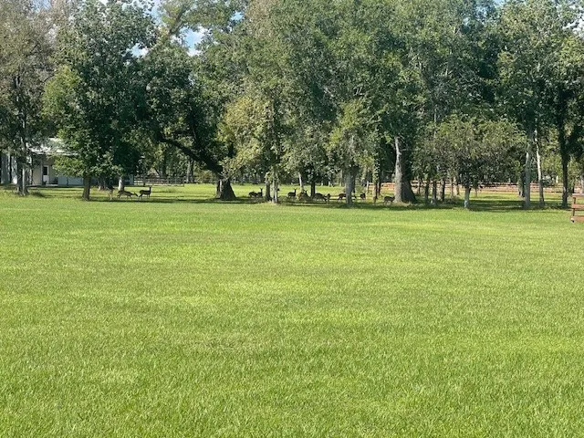 $145,000 | 802 China Grove Drive, Rosharon, TX 77583