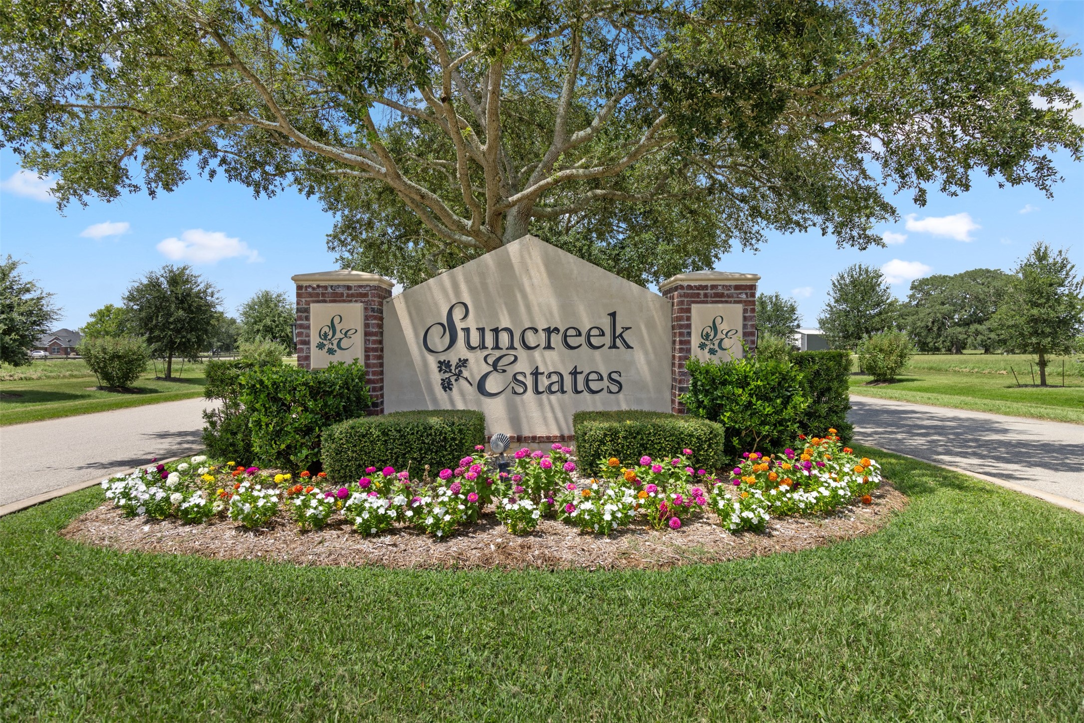 802 China Grove Drive Rosharon, TX 77583 - Photo 4 of 17