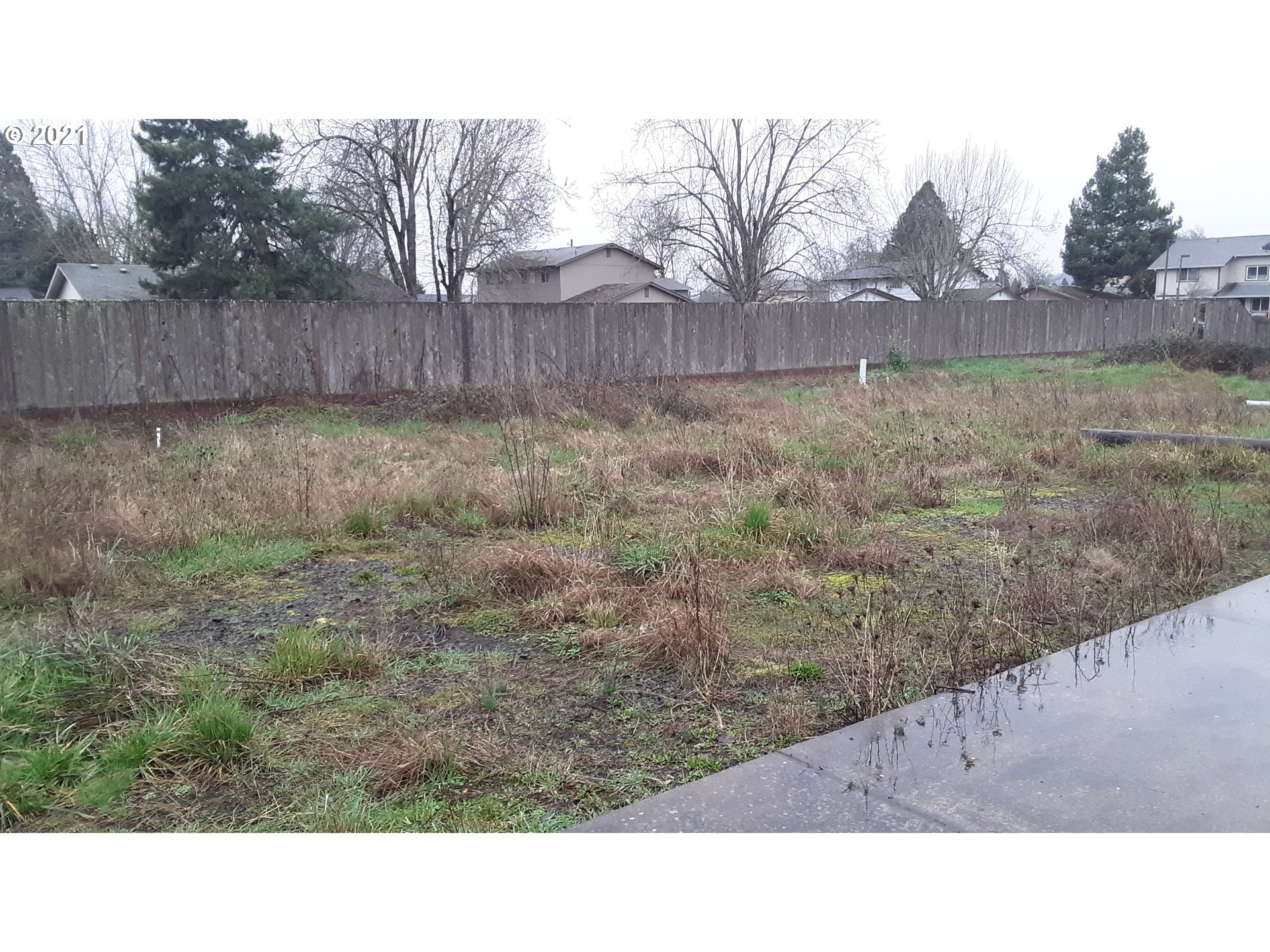 41st Place Springfield, OR 97478 - Photo 15 of 18