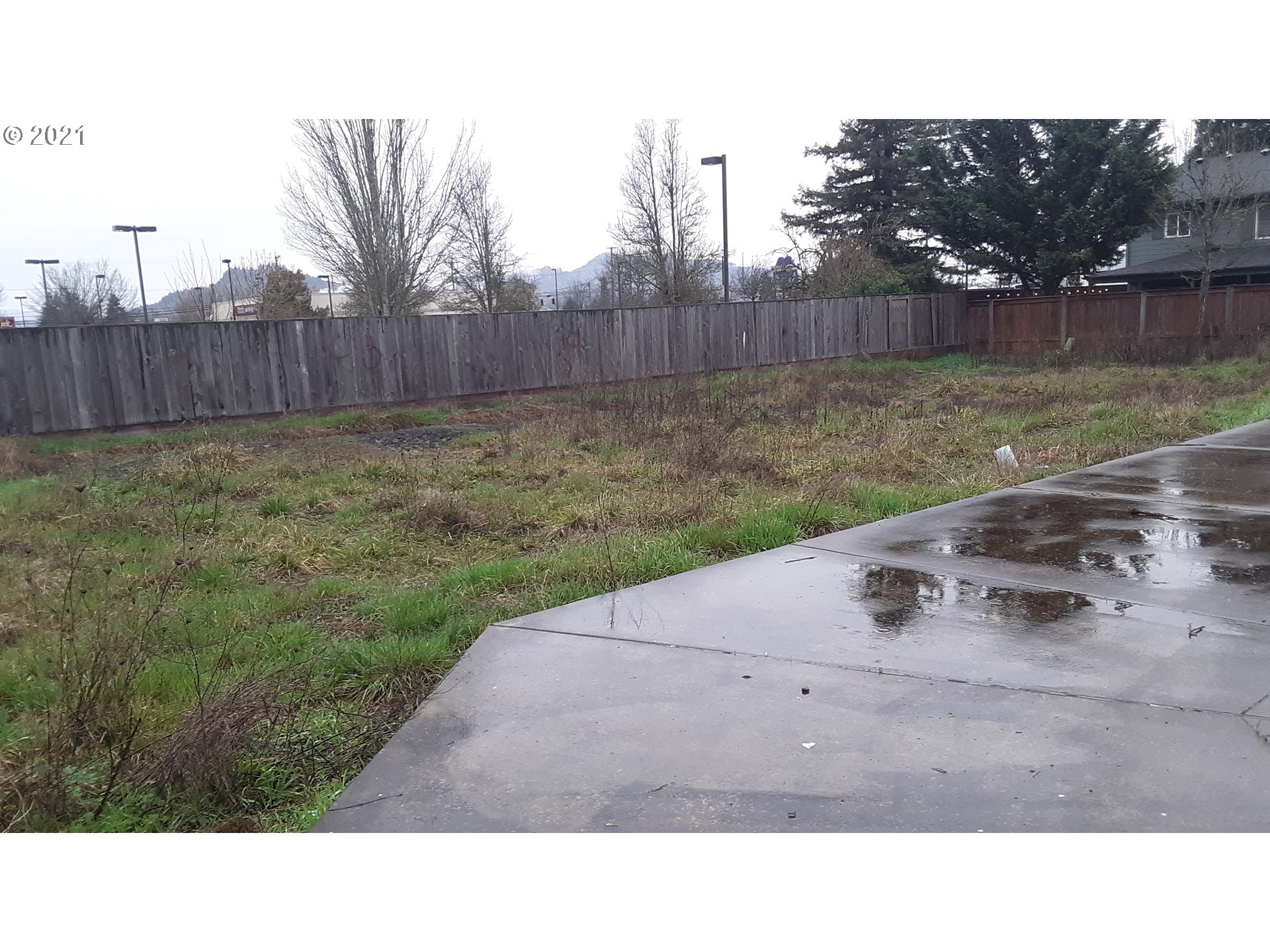41st Place Springfield, OR 97478 - Photo 3 of 18