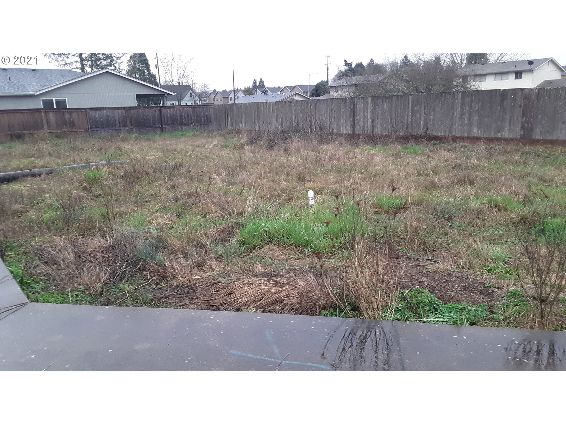 41st Place Springfield, OR 97478 - Photo 6 of 18