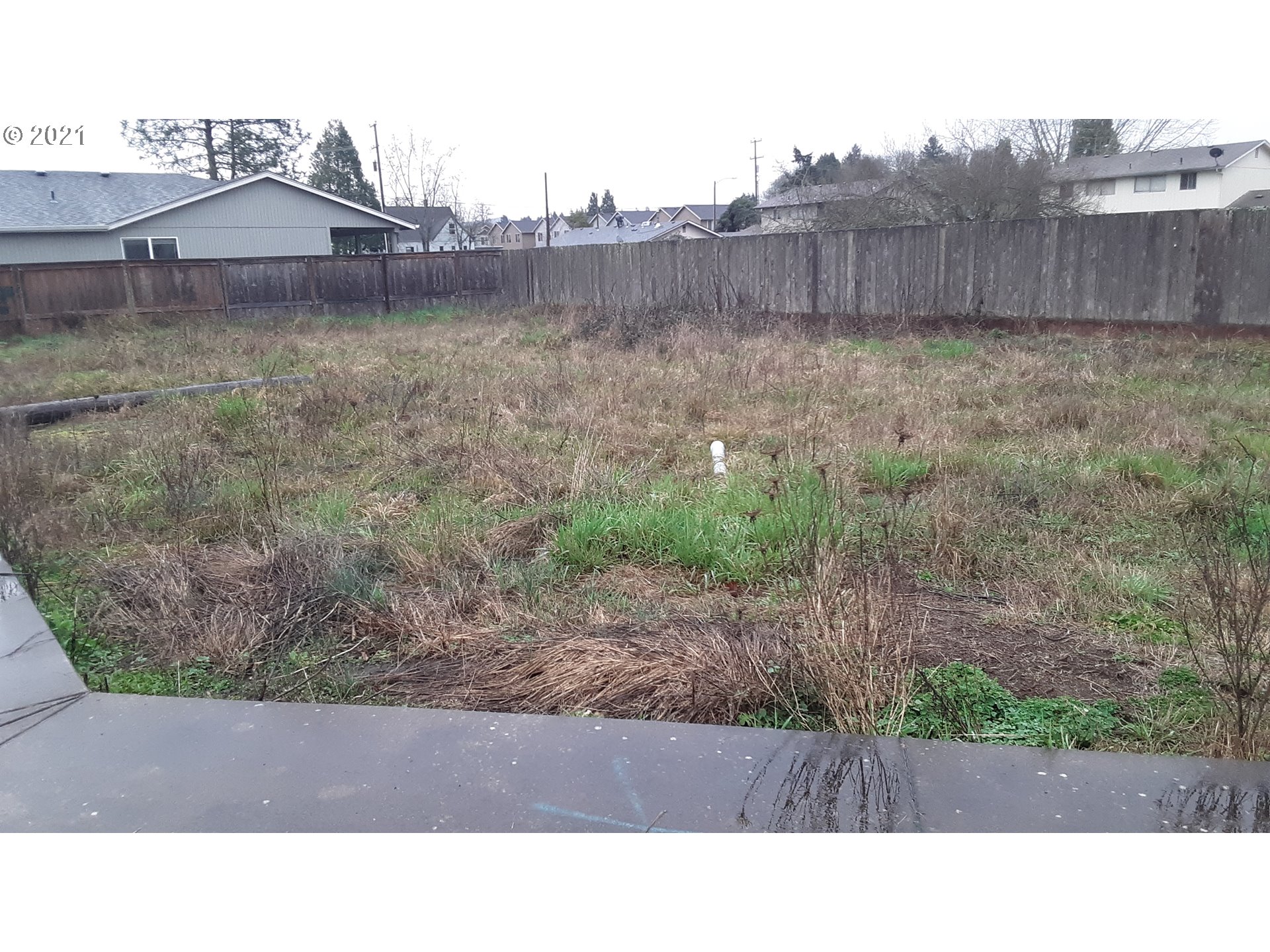 41st Place Springfield, OR 97478 - Photo 7 of 18